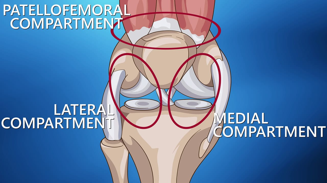 knee compartments